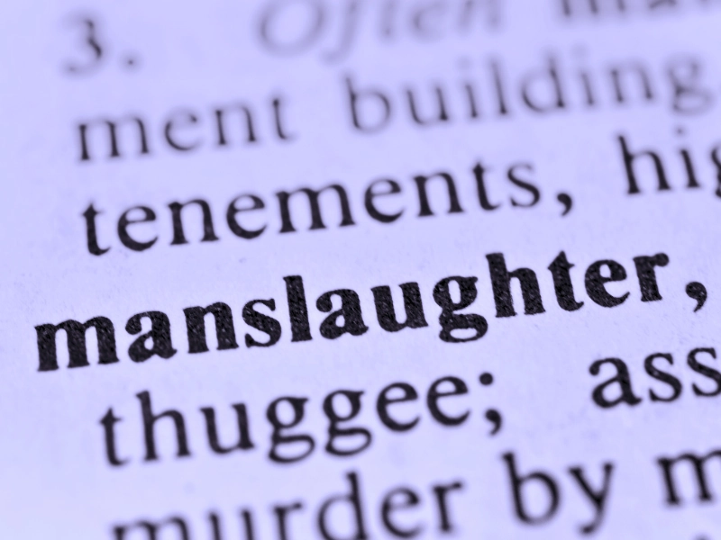 A dictionary with the word manslaughter is highlighted.